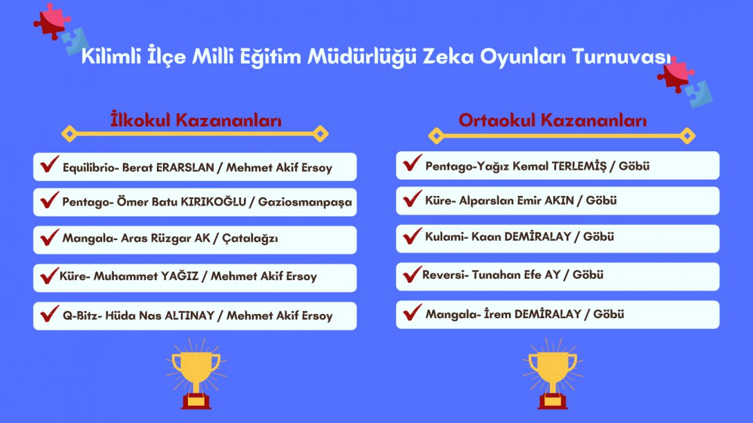 Türkiye Akıl ve Zeka Oyunları İlçe Turnuvası Tamamlandı